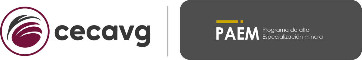Aula Virtual CECAVG
